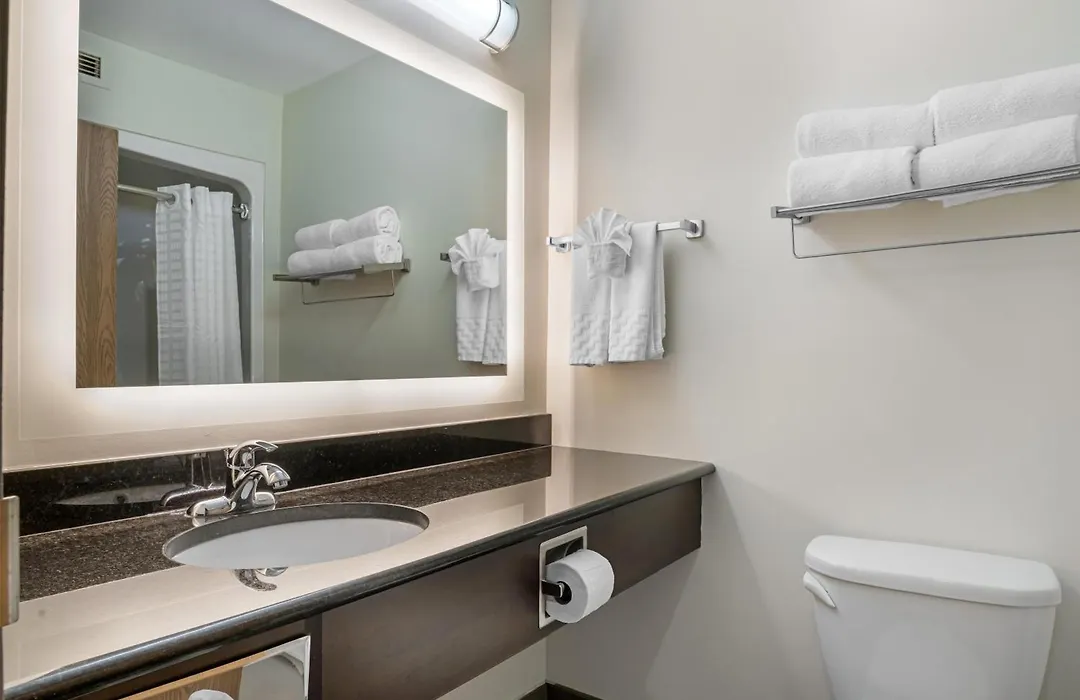 Best Western Plus Dartmouth Hotel & Suites-1